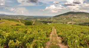 Randonnée beaujolais
